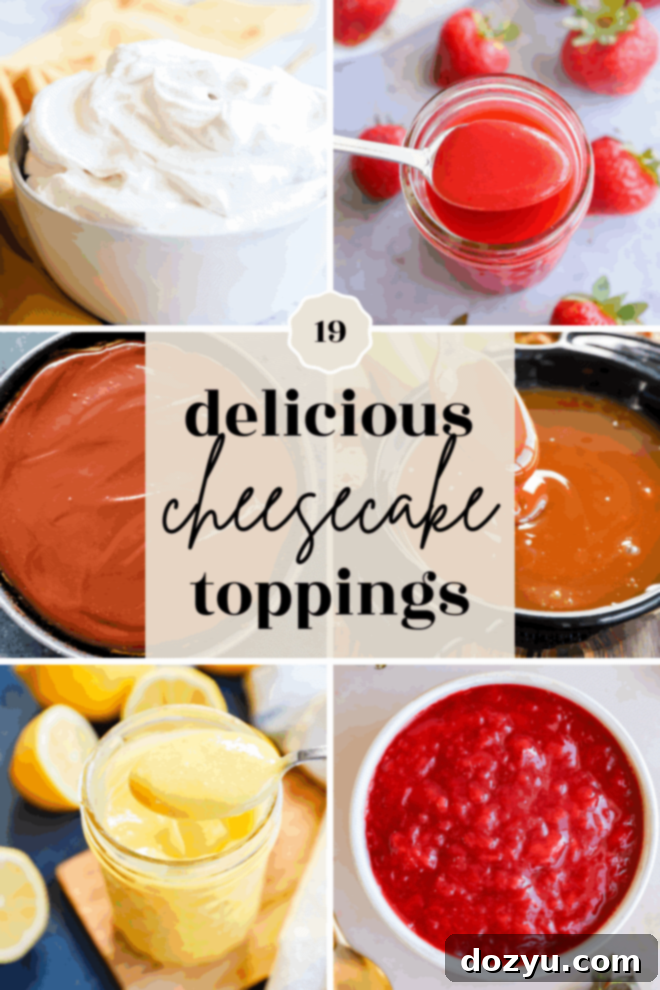Cheesecake Topping Inspiration for Every Occasion 2 A collage featuring six different cheesecake toppings, including whipped cream, strawberry sauce, chocolate sauce, caramel, lemon curd, and berry compote, with text in the center reading 19 delicious cheesecake toppings.