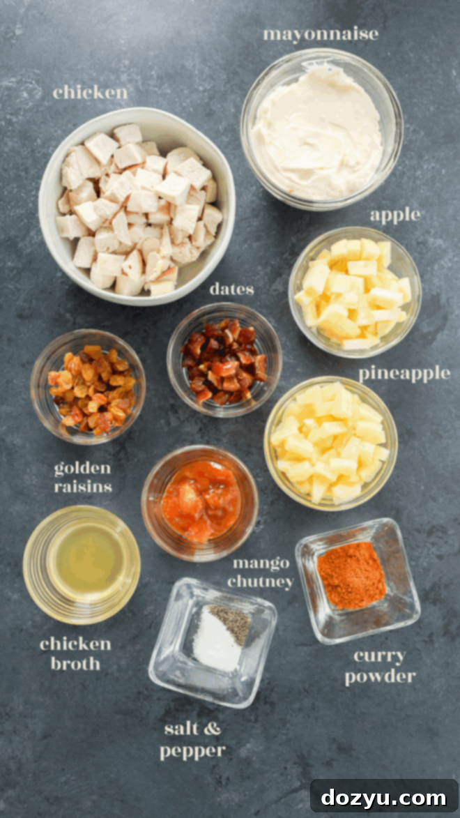 Golden Curried Chicken Salad 3 Overhead view of small bowls containing all the ingredients for curried chicken salad—cubed chicken, mayonnaise, diced apple, pineapple, chopped dates, golden raisins, mango chutney, curry powder, broth, and seasonings—all labeled on a dark surface.