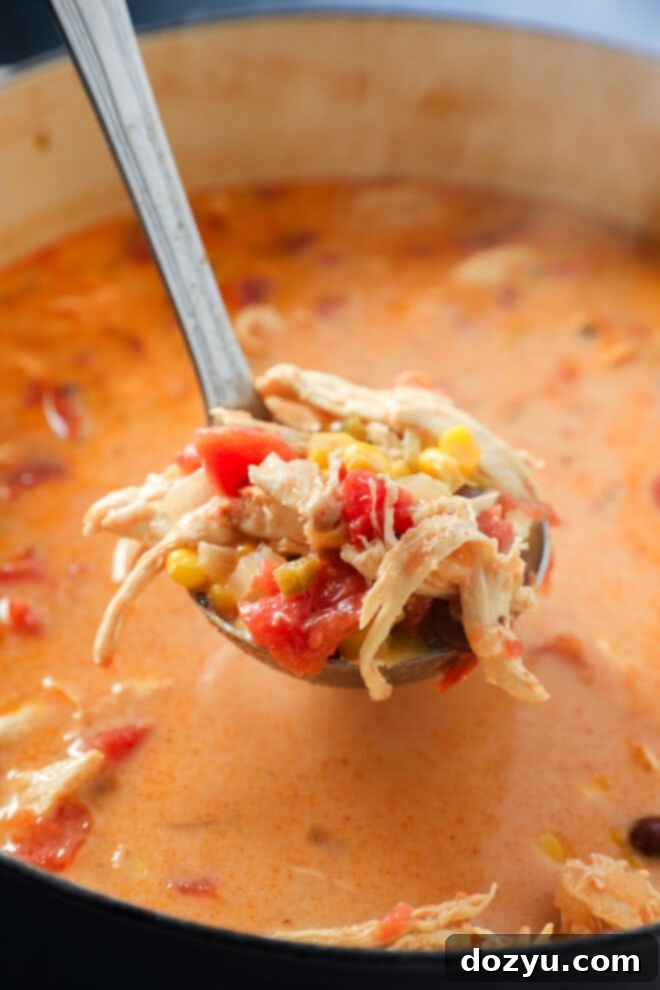 A close-up of a ladle lifting a serving of Creamy Chicken Tortilla Soup with shredded chicken, tomatoes, corn, and beans from a pot, highlighting its rich and creamy texture.