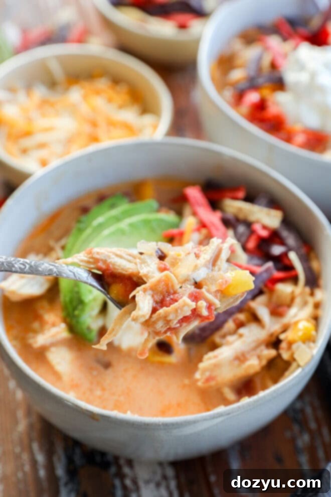 A close-up of a bowl of Creamy Chicken Tortilla Soup topped with sliced avocado, shredded cheese, and colorful tortilla strips, with a spoonful of this hearty soup being lifted in the foreground, ready to be enjoyed.