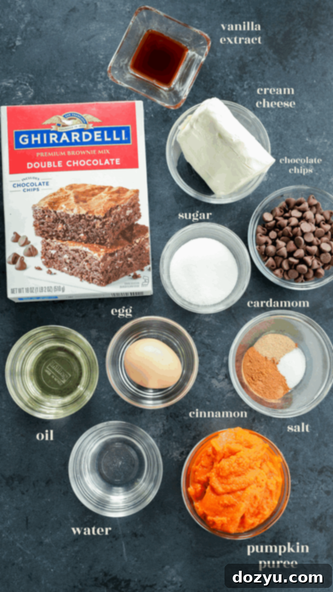 Spiced Pumpkin Fudge Brownies 3 Top-down view of ingredients for pumpkin cream cheese brownies, including brownie mix, cream cheese, chocolate chips, sugar, an egg, oil, water, pumpkin puree, cinnamon, cardamom, salt, and vanilla extract.