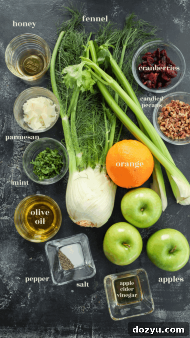 Top-down view of Apple Fennel Salad ingredients on a dark surface, featuring fennel, green apples, orange, mint, parmesan, honey, cranberries, candied pecans, olive oil, apple cider vinegar, salt and pepper.