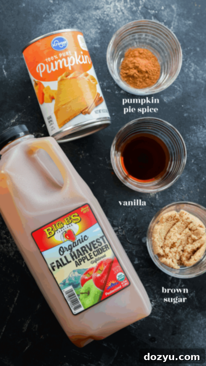 A bottle of organic apple cider, a can of pumpkin puree, and small bowls labeled with pumpkin pie spice, vanilla, and brown sugar are arranged on a dark surface—perfect ingredients for homemade pumpkin juice.
