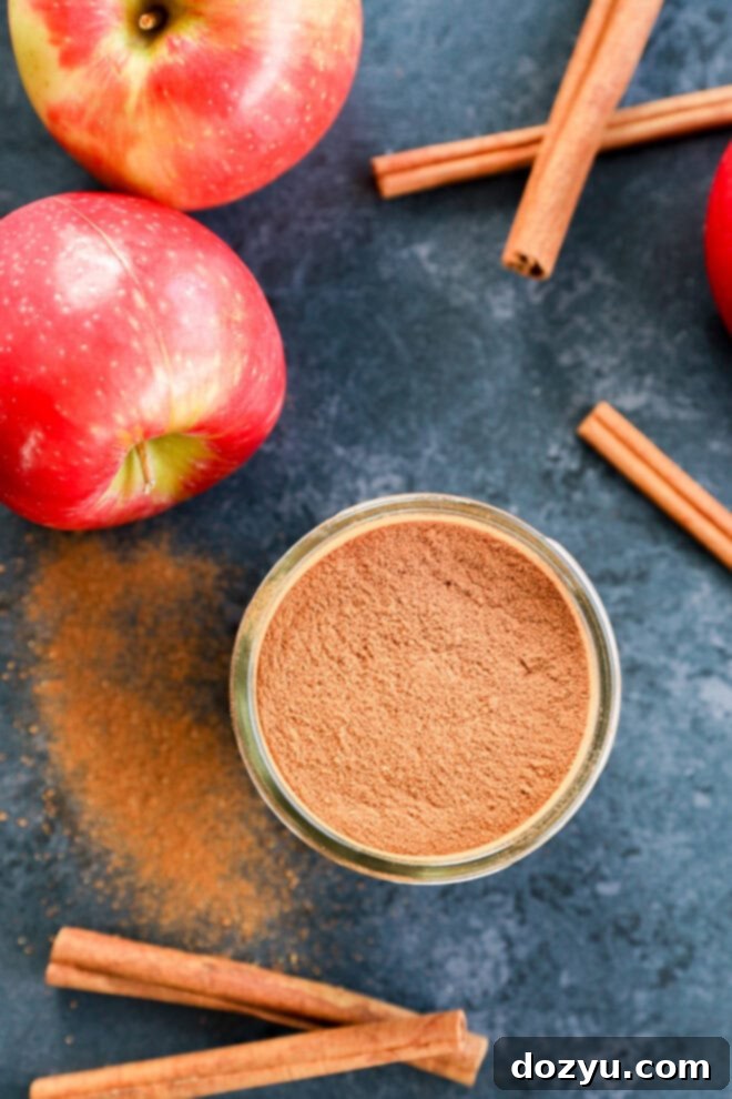 A charming glass jar filled with a rich, brown spice mixture, presumably homemade apple pie spice, sits centrally on a dark, textured surface. It's surrounded by whole, ripe red apples and slender, fragrant cinnamon sticks. A dusting of cinnamon powder on the surface adds to the rustic, inviting aesthetic, highlighting the natural ingredients.