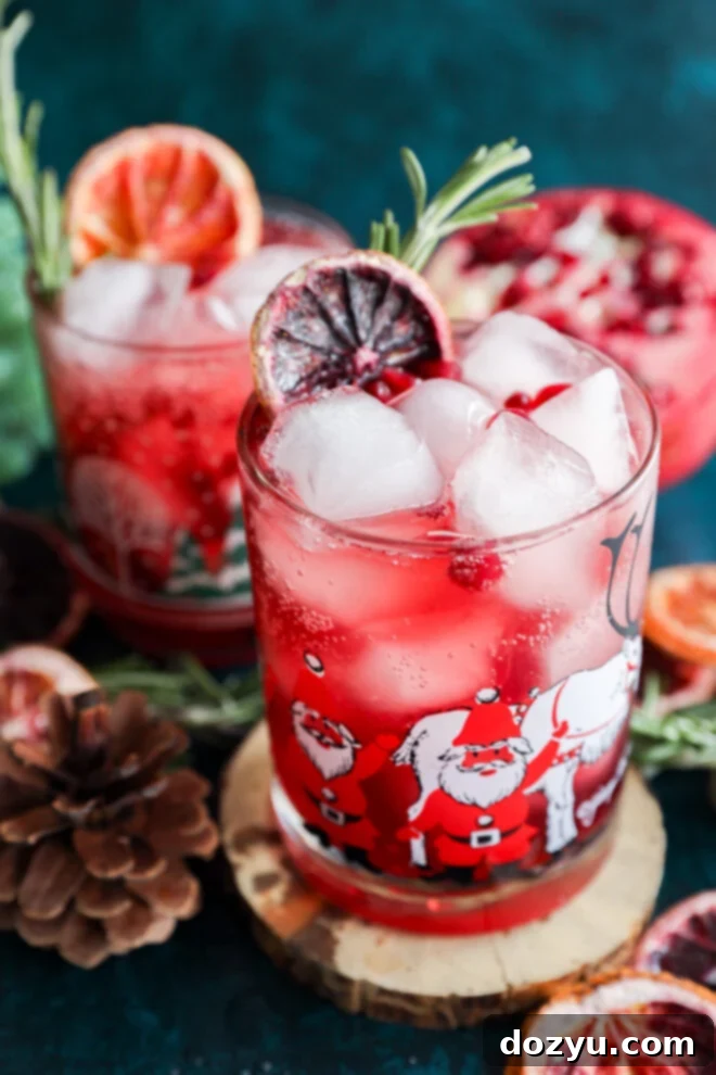 Two festive glasses filled with a Christmas vodka cocktail, ice cubes, and garnished with pomegranate seeds, rosemary, and dried citrus slices. The glasses feature Santa Claus illustrations, with pinecones nearby on a dark blue surface.