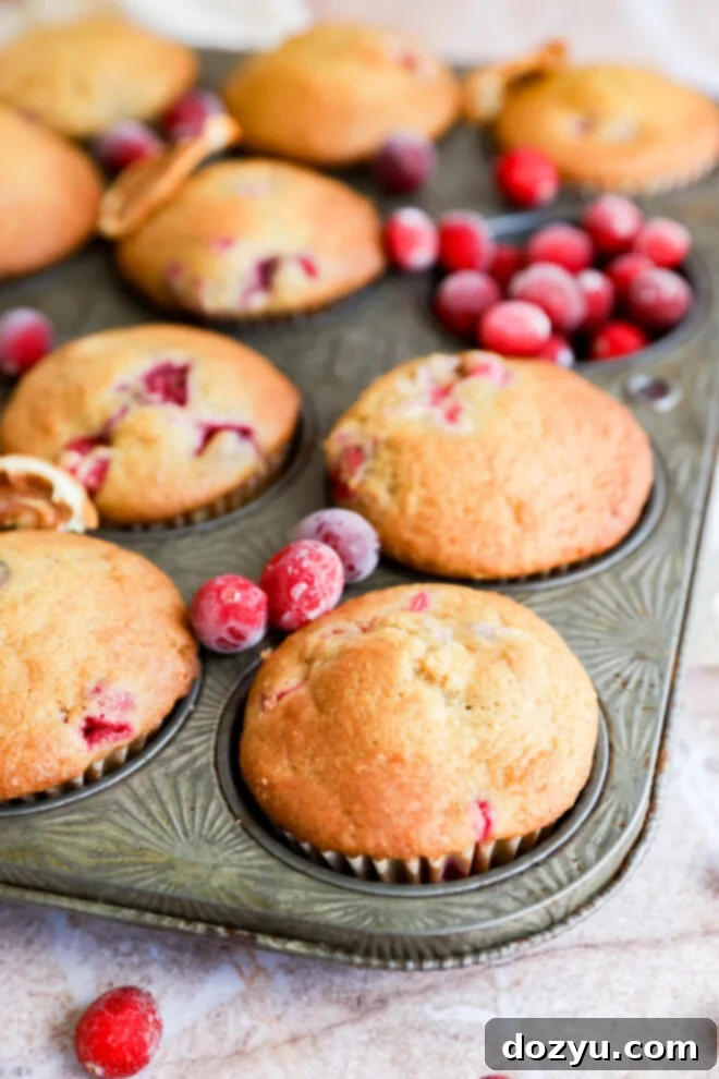 Golden-browned orange cranberry muffins in a muffin tin, surrounded by fresh cranberries.
