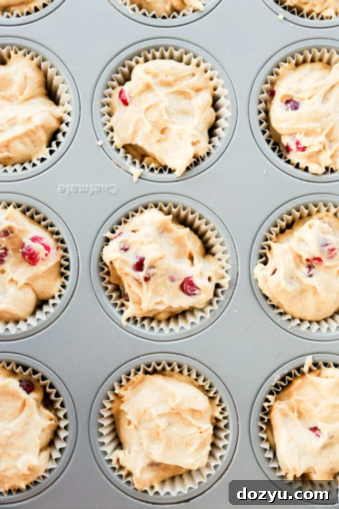 Unbaked orange cranberry muffin batter in muffin tin.