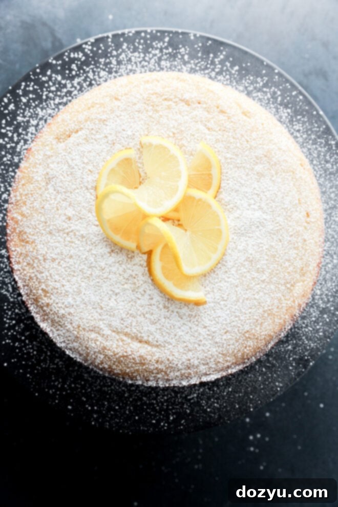 Lemon Ricotta Bliss Cake 2 A round lemon ricotta cake dusted with powdered sugar, topped with several lemon slices, displayed on a dark plate against a dark background.