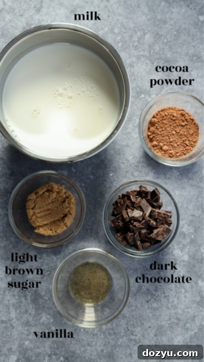 A vibrant arrangement of ingredients for making dark chocolate hot chocolate. Five labeled bowls are set on a neutral gray surface, each containing a key component: rich, creamy milk; deeply flavored cocoa powder; light brown sugar with hints of molasses; chunks of intense dark chocolate; and fragrant vanilla extract. The ingredients are carefully arranged, showcasing the simple yet high-quality elements that come together to create this indulgent beverage.