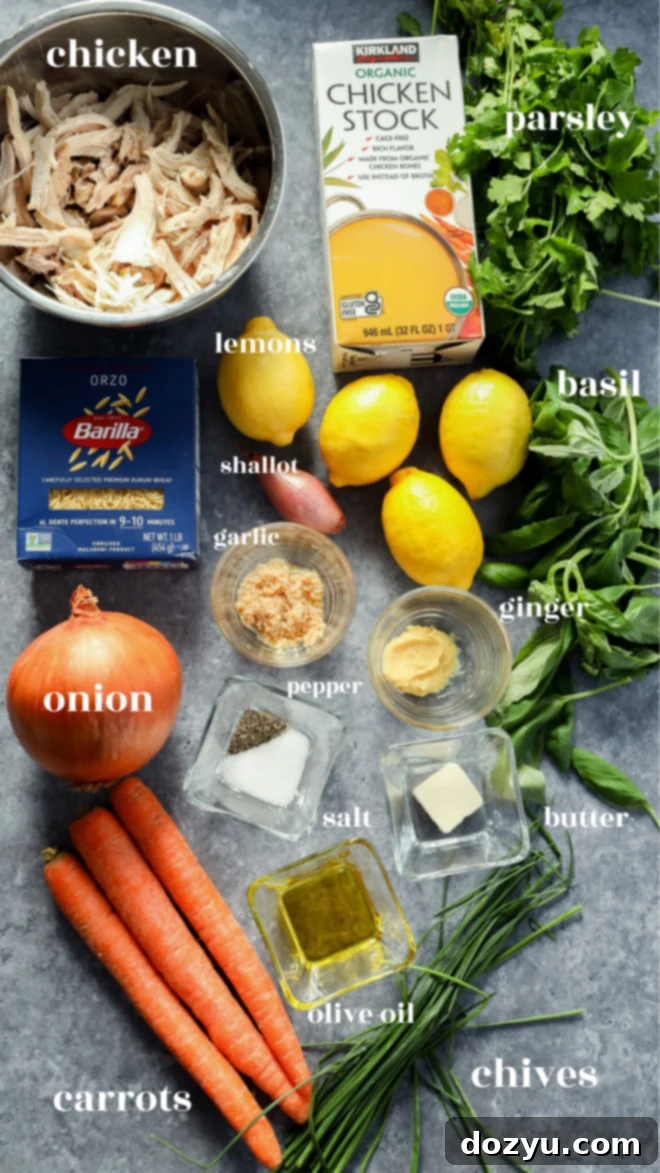 Ingredients for lemon and chicken soup are arranged on a gray surface, including shredded chicken, chicken stock, parsley, basil, lemons, shallot, garlic, ginger, orzo, onion, carrots, chives, butter, olive oil, salt and pepper. Each is labeled.