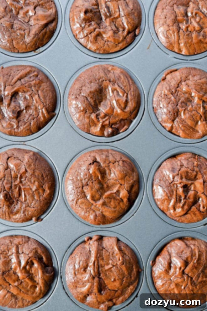 A muffin tin filled with twelve freshly baked Brownie Bites, each with a rich, brown, slightly cracked top. The treats fill the cups evenly and have a soft, moist texture reminiscent of classic chocolate muffins.