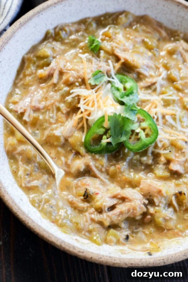A bowl of pork green chile stew with shredded meat, garnished with sliced jalapeños, shredded cheese, and cilantro, with a spoon resting inside.