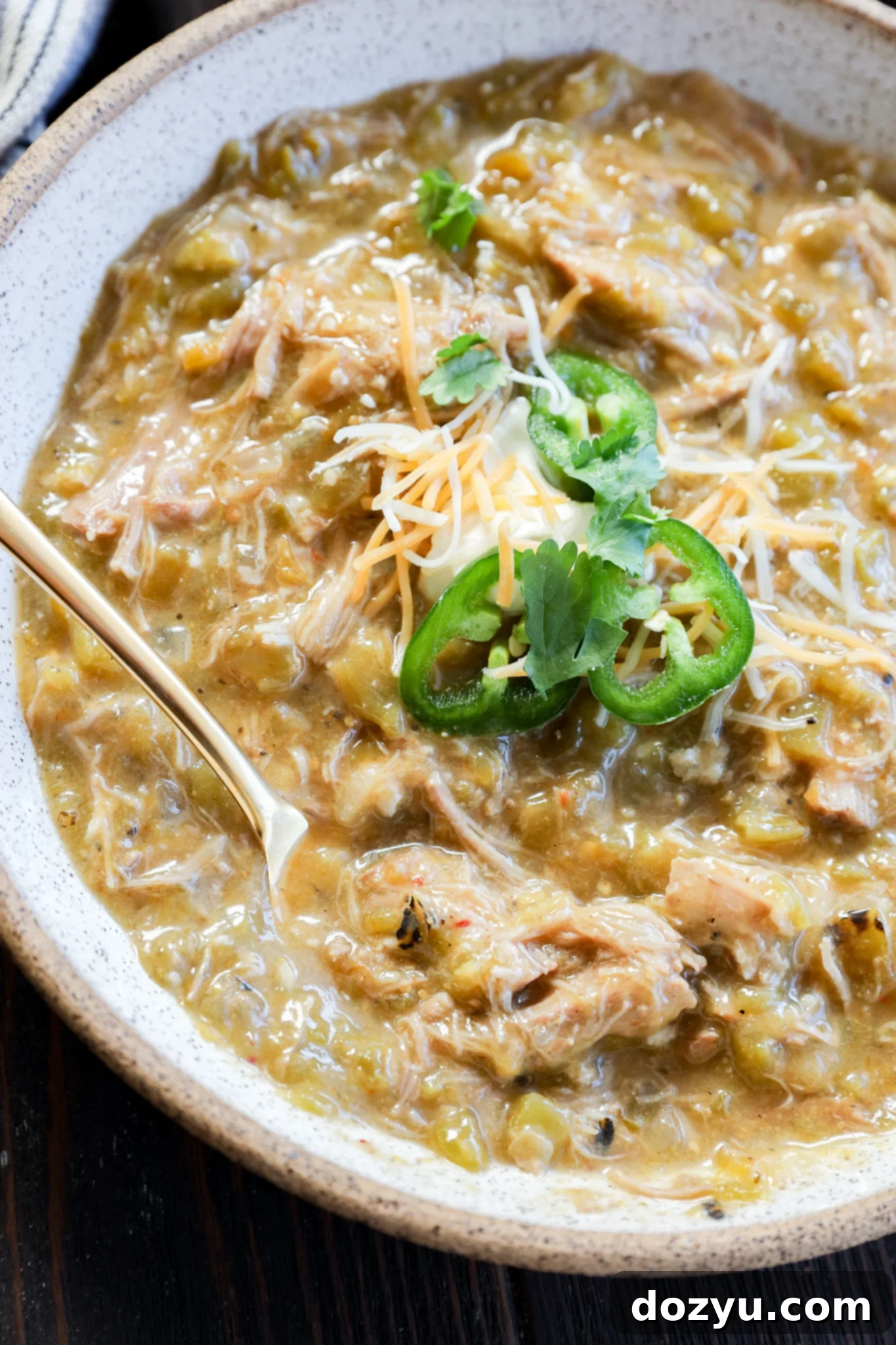 A bowl of pork green chile stew with shredded meat, garnished with sliced jalapeños, shredded cheese, and cilantro, with a spoon resting inside.