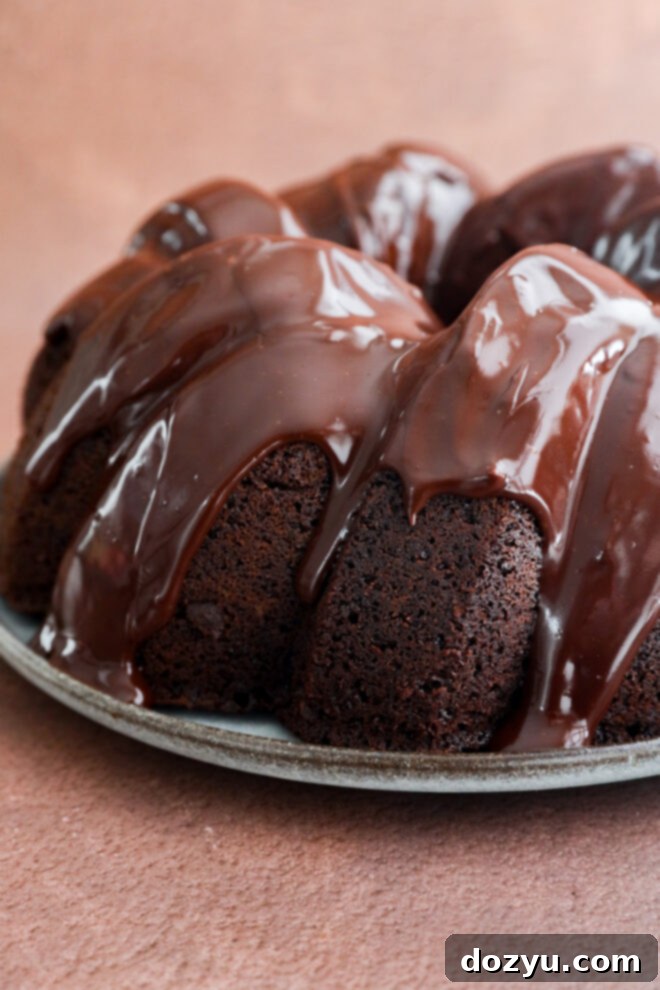 A chocolate bundt cake drizzled with chocolate glaze, resembling a brownie cake.