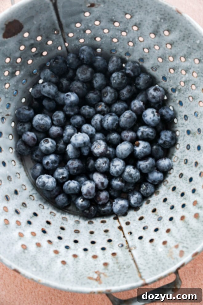 Tiny Blueberry Bites 4 A metal colander filled with fresh blueberries, seen from above.