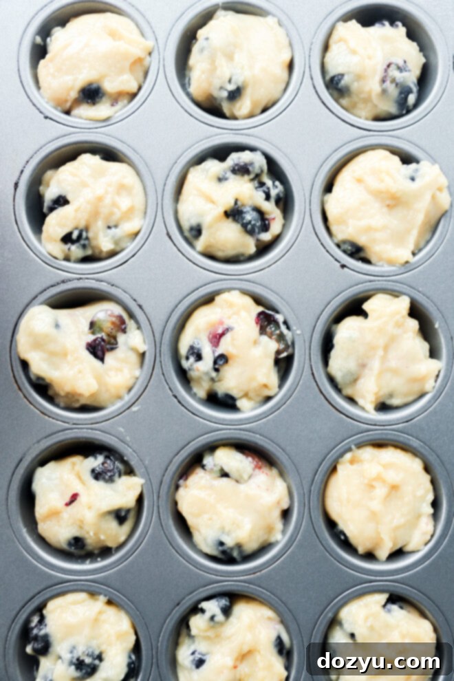 Tiny Blueberry Bites 6 A muffin tin filled with unbaked mini blueberry muffins batter, ready to be placed in the oven. The batter is lumpy and dotted with visible blueberries in each cup.