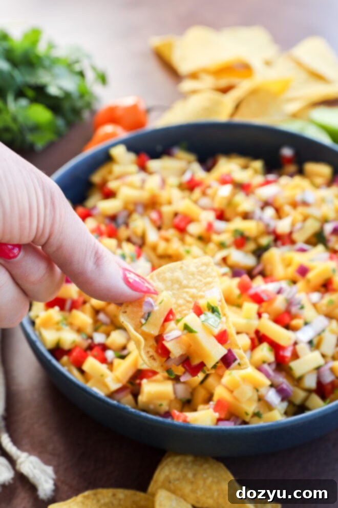 Hand holding a tortilla chip with mango habanero salsa.